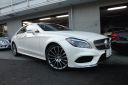 <p><s>CLS220 AMGライン</s></p><font color=