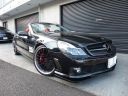<p><s>AMG SL63 Performance Package</s></p><font color=