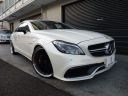 <p><s>CLS550クーペ (AMG CLS63仕様)東京オートサロン出展車両</s><font color=