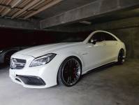 news494202