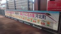 news542502